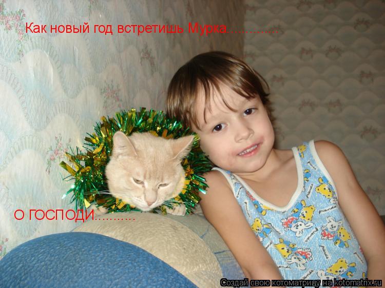 Как новый год встретишь Мурка.............. О ГОСПОДИ.............. Котоматрица: Как новый год встретишь Мурка.............. О ГОСПОДИ...........
