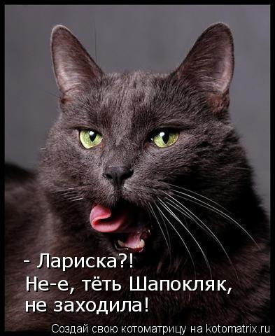 Не-е, тёть Шапокляк, - Лариска?! не заходила!... Котоматрица: Не-е, тёть Шапокляк, - Лариска?! не заходила!