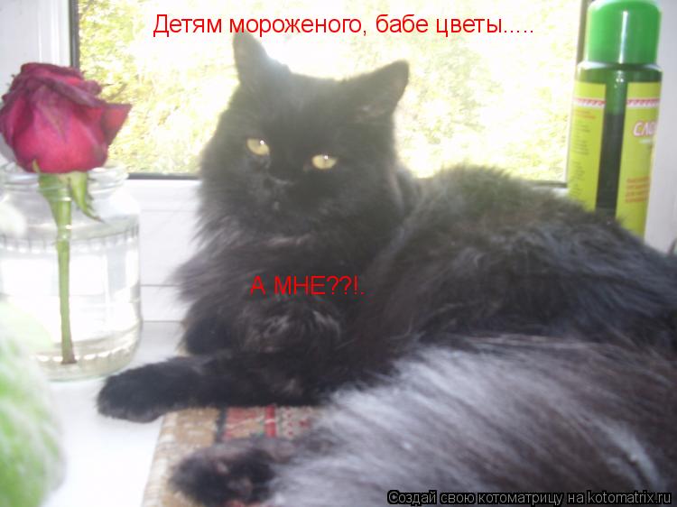 Детям мороженого, бабе цветы..... А МНЕ??!.... Котоматрица: Детям мороженого, бабе цветы..... А МНЕ??!.
