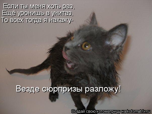 Если ты меня хоть раз, Ещё уронишь в унитаз, То всех тогда я накажу- Везде сюрпризы разложу!... Котоматрица: Если ты меня хоть раз, Ещё уронишь в унитаз, То всех тогда я накажу- Везде сюрпризы разложу!