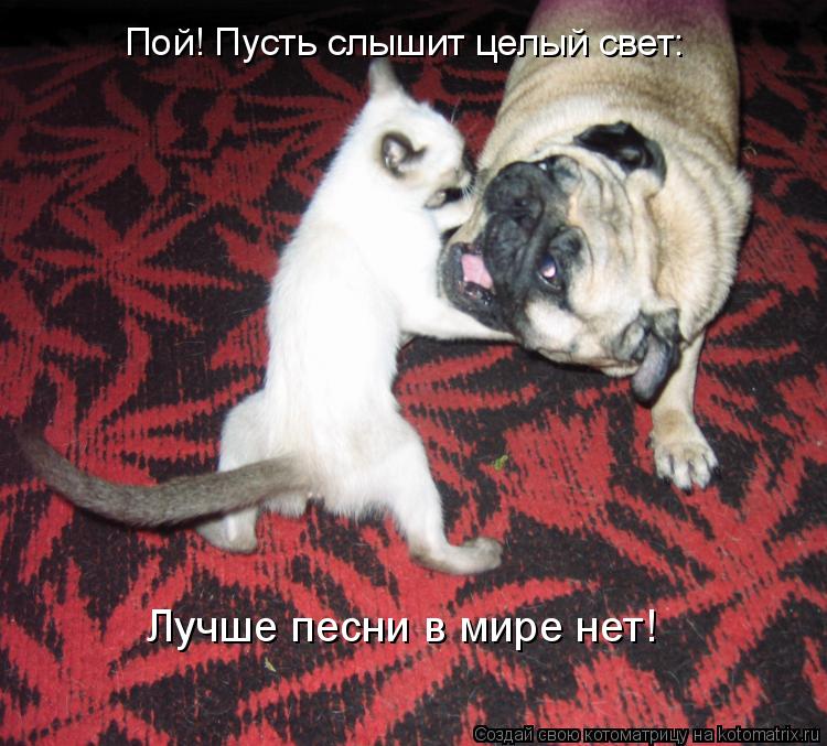 Пой! Пусть слышит целый свет: Пой! Пусть слышит целый свет: Лучше песни в мире нет!... Котоматрица: Пой! Пусть слышит целый свет: Пой! Пусть слышит целый свет: Лучше песни в мире нет!