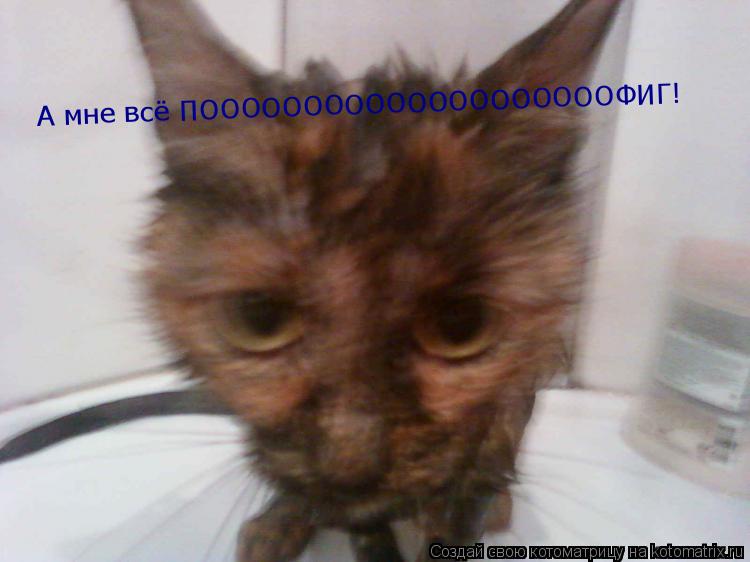 А мне всё ПООООООООООООООООООООФИГ!... Котоматрица: А мне всё ПООООООООООООООООООООФИГ!