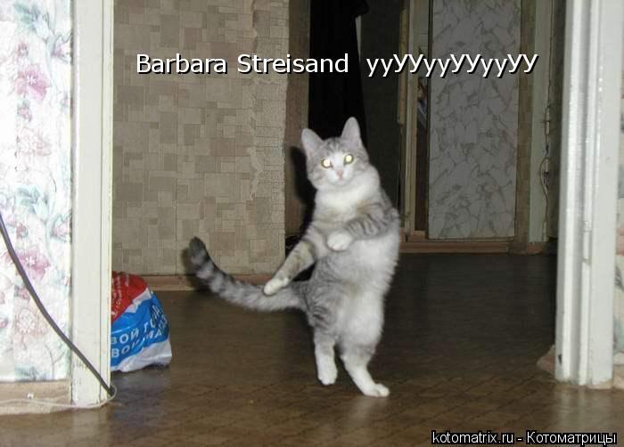 Barbara Streisand ууУУууУУууУУ... Котоматрица: Barbara Streisand ууУУууУУууУУ