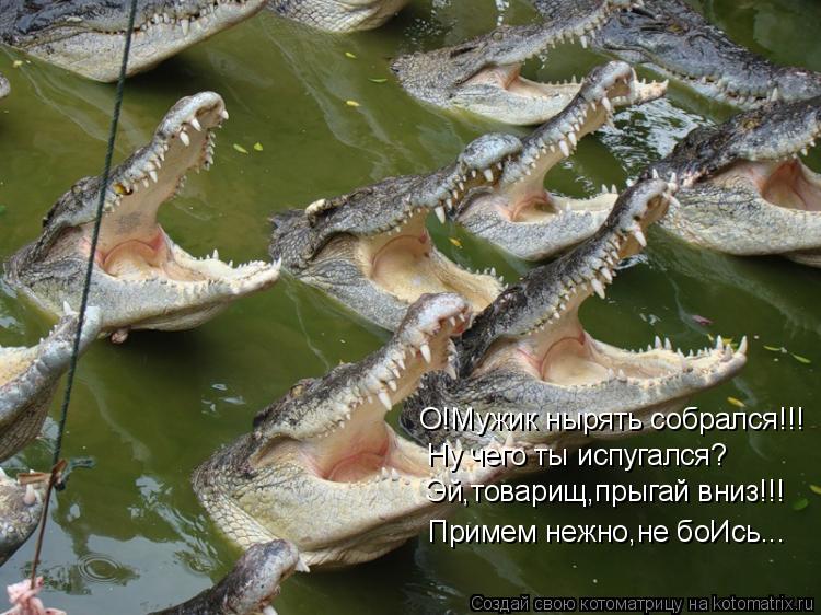 О!Мужик нырять собрался!!! Ну чего ты испугался? Эй,товарищ,прыгай вниз!!! Примем нежно,не боИсь...... Котоматрица: О!Мужик нырять собрался!!! Ну чего ты испугался? Эй,товарищ,прыгай вниз!!! Примем нежно,не боИсь...