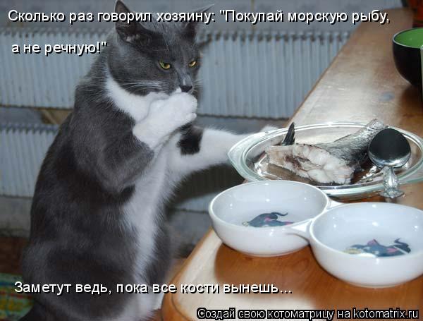 Сколько раз говорил хозяину: "Покупай морскую рыбу, а не речную!" Заметут ведь, пока все кости вынеш... Котоматрица: Сколько раз говорил хозяину: "Покупай морскую рыбу, а не речную!" Заметут ведь, пока все кости вынешь...