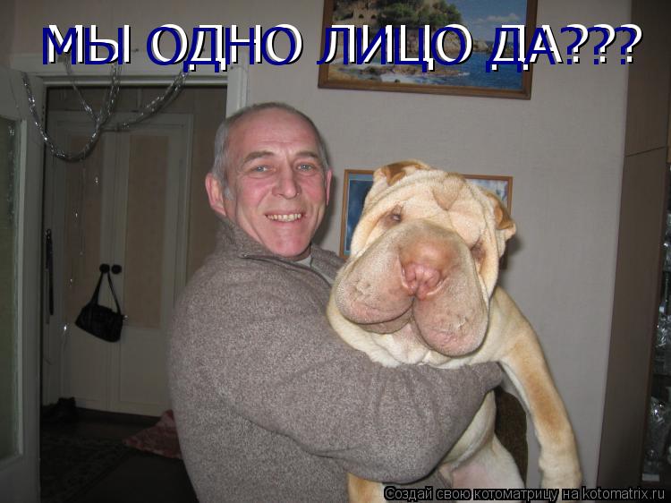 МЫ ОДНО ЛИЦО ДА??? МЫ ОДНО ЛИЦО ДА???... Котоматрица: МЫ ОДНО ЛИЦО ДА??? МЫ ОДНО ЛИЦО ДА???