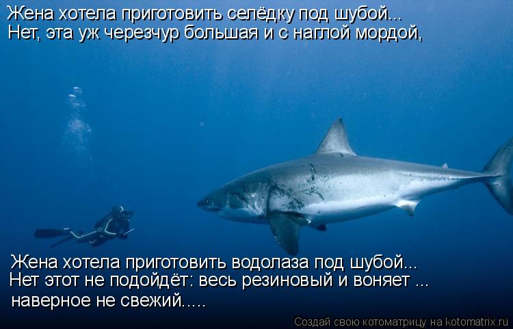 Жена хотела приготовить селёдку под шубой... Нет, эта уж черезчур большая и с наглой мордой, Жена хо... Котоматрица: Жена хотела приготовить селёдку под шубой... Нет, эта уж черезчур большая и с наглой мордой, Жена хотела приготовить водолаза под шубой... Не
