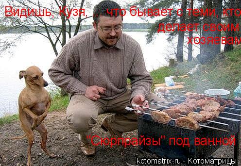 Видишь, Кузя, ... что бывает с теми, кто делает своим хозяевам "Сюрпрайзы" под ванной делает своим ... Котоматрица: Видишь, Кузя, ... что бывает с теми, кто делает своим хозяевам "Сюрпрайзы" под ванной делает своим хозяевам "Сюрпрайзы" под ванной хозяевам "