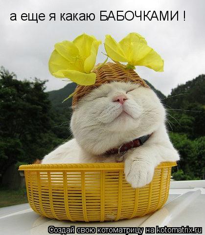 а еще я какаю БАБОЧКАМИ !... Котоматрица: а еще я какаю БАБОЧКАМИ !