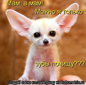 Мам, а мам! Можно я только зубы почищу??? зубы почищу???... Котоматрица: Мам, а мам! Можно я только зубы почищу??? зубы почищу???