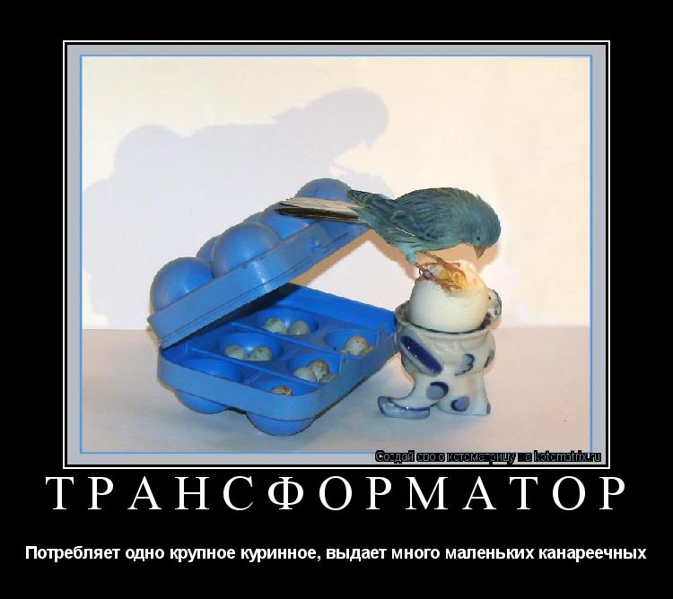 Трансформатор Потребляет одно крупное куринное, выдает много маленьких канареечных... Котоматрица: Трансформатор Потребляет одно крупное куринное, выдает много маленьких канареечных