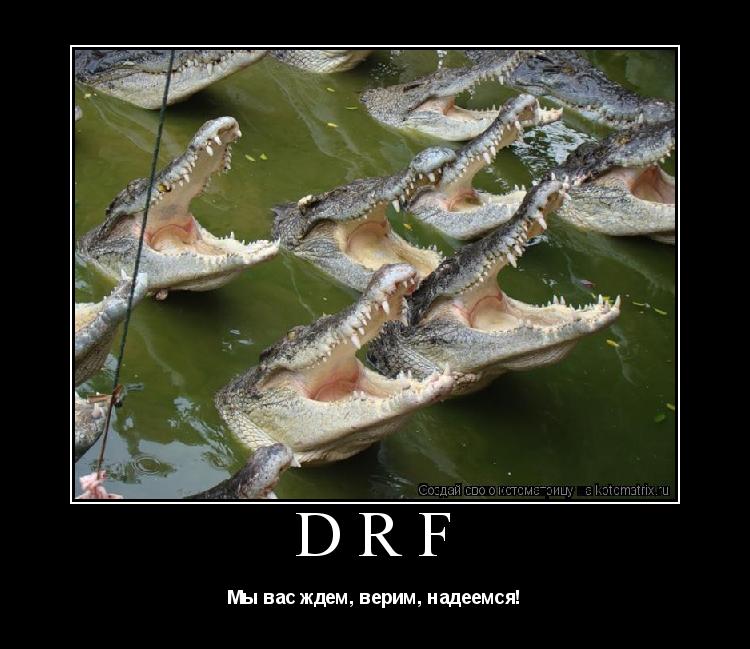 DRF Мы вас ждем, верим, надеемся!... Котоматрица: DRF Мы вас ждем, верим, надеемся!