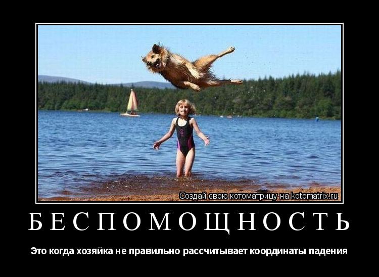 Беспомощность Это когда хозяйка не правильно рассчитывает координаты падения... Котоматрица: Беспомощность Это когда хозяйка не правильно рассчитывает координаты падения