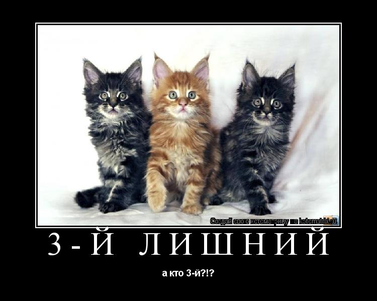 Котоматрица: 3-й лишний а кто 3-й?!?