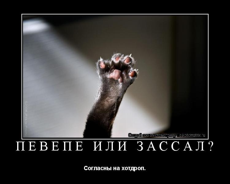 ПеВеПе или зассал? Согласны на хотдроп.... Котоматрица: ПеВеПе или зассал? Согласны на хотдроп.