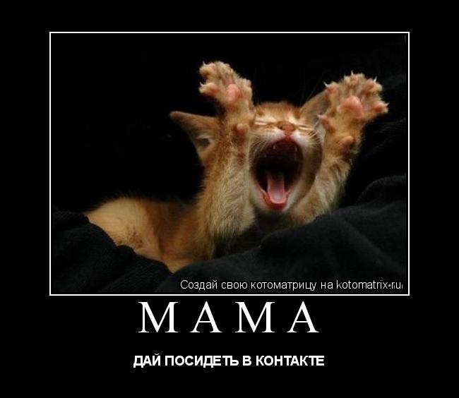 Котоматрица: МАМА ДАЙ ПОСИДЕТЬ В КОНТАКТЕ