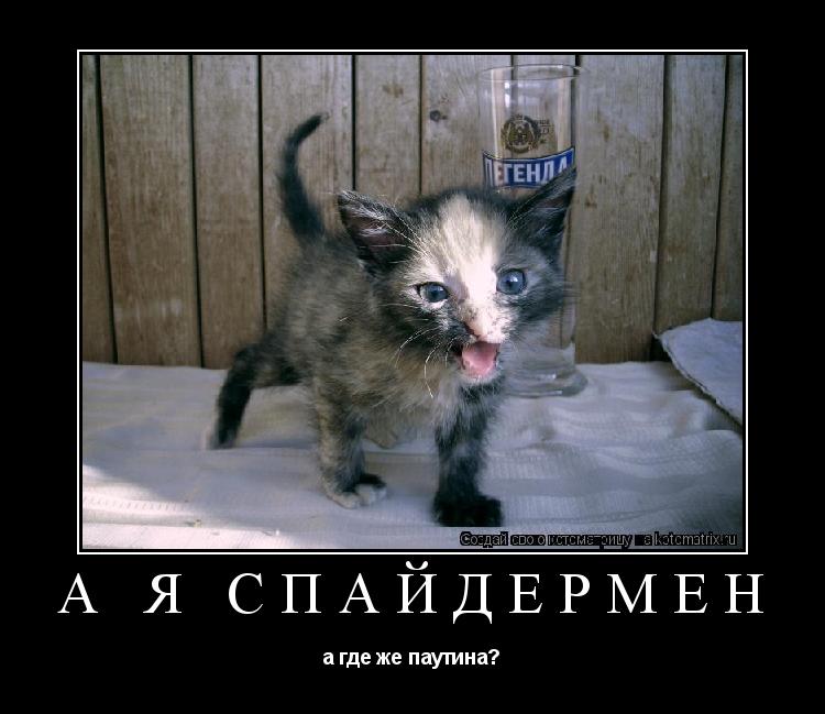 А я СпАйДерМеН а где же паутина?... Котоматрица: А я СпАйДерМеН а где же паутина?