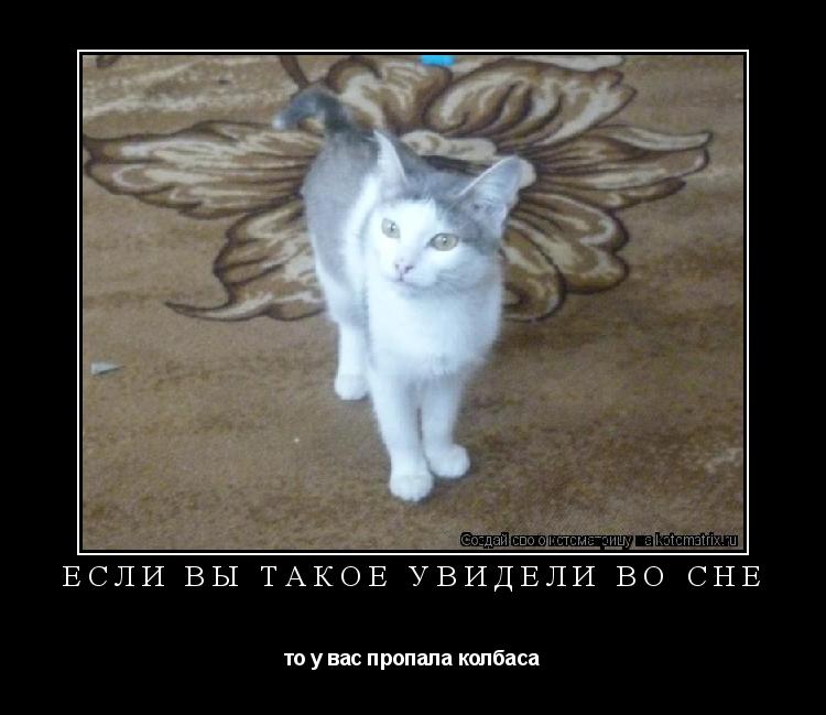 Котоматрица: ЕСЛИ ВЫ ТАКОЕ УВИДЕЛИ ВО СНЕ то у вас пропала колбаса
