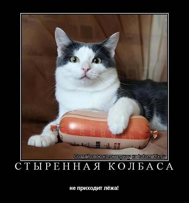 Котоматрица: стыренная колбаса не приходит лёжа!