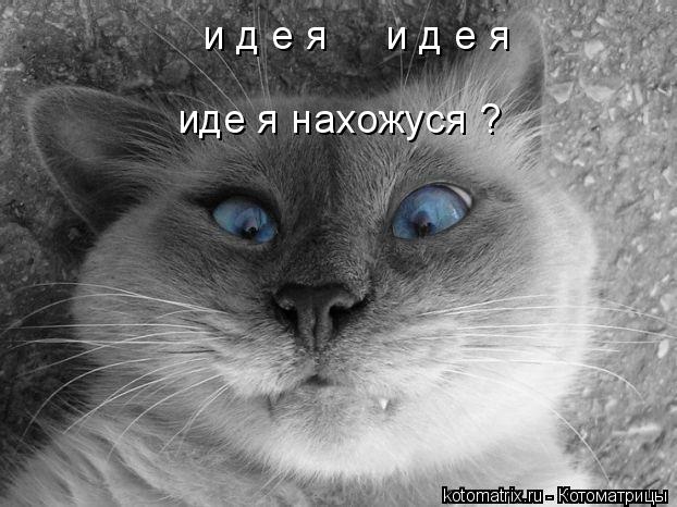 и д е я и д е я иде я нахожуся ?... Котоматрица: и д е я и д е я иде я нахожуся ?