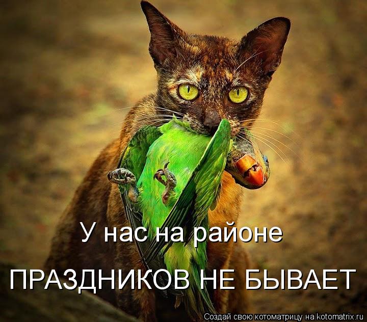 У нас на районе ПРАЗДНИКОВ НЕ БЫВАЕТ... Котоматрица: У нас на районе ПРАЗДНИКОВ НЕ БЫВАЕТ