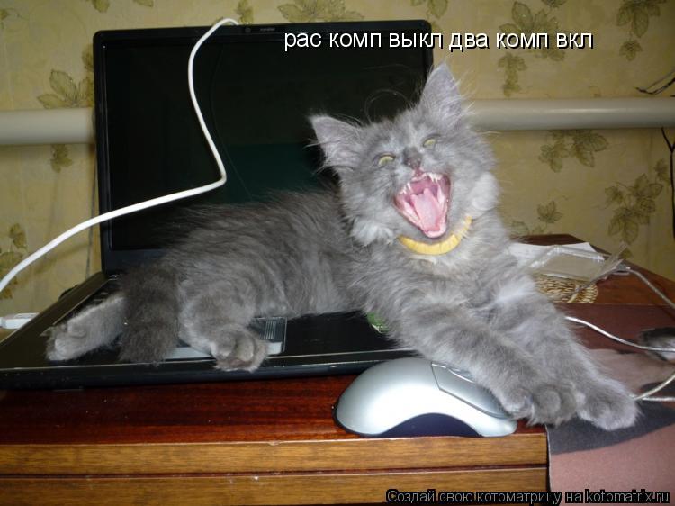 рас комп выкл два комп вкл... Котоматрица: рас комп выкл два комп вкл