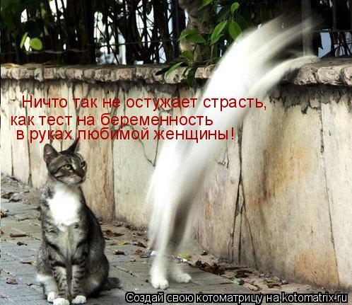 Ничто так не остужает страсть, как тест на беременность в руках любимой женщины!... Котоматрица: Ничто так не остужает страсть, как тест на беременность в руках любимой женщины!