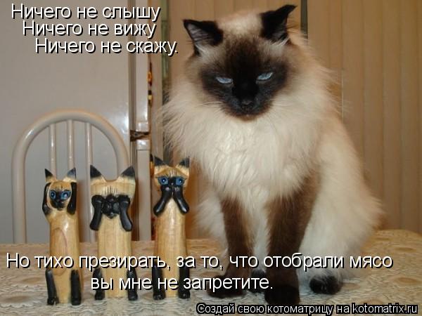 Ничего не слышу Ничего не вижу Ничего не скажу. Но тихо презирать, за то, что отобрали мясо вы мне не... Котоматрица: Ничего не слышу Ничего не вижу Ничего не скажу. Но тихо презирать, за то, что отобрали мясо вы мне не запретите.