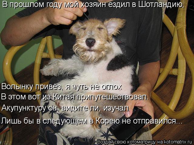В прошлом году мой хозяин ездил в Шотландию, Волынку привёз, я чуть не оглох В этом вот из Китая прип... Котоматрица: В прошлом году мой хозяин ездил в Шотландию, Волынку привёз, я чуть не оглох В этом вот из Китая припутешествовап. Акупунктуру он, видите ли,
