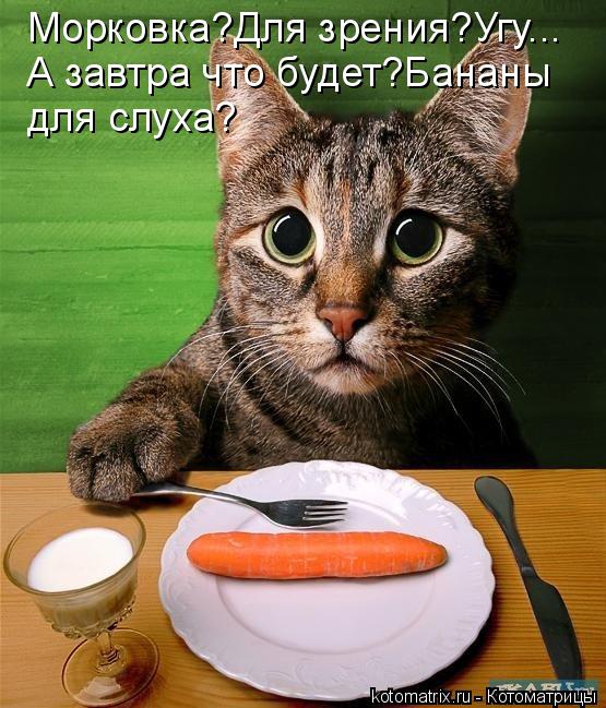 Морковка?Для зрения?Угу... А завтра что будет?Бананы для слуха?... Котоматрица: Морковка?Для зрения?Угу... А завтра что будет?Бананы для слуха?