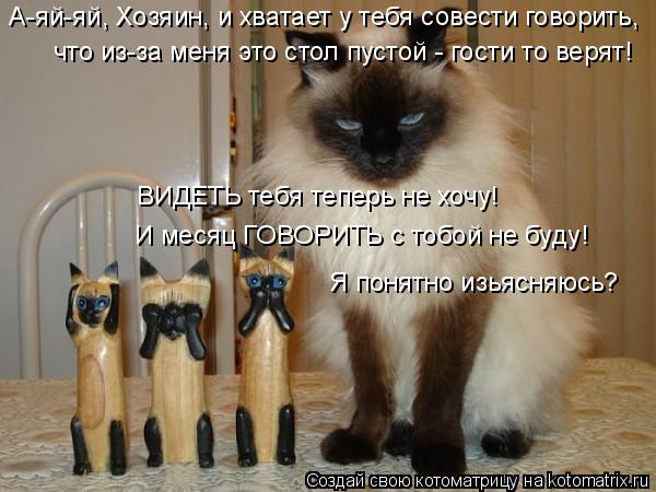 А-яй-яй, Хозяин, и хватает у тебя совести говорить, что из-за меня это стол пустой - гости то верят! ... Котоматрица: А-яй-яй, Хозяин, и хватает у тебя совести говорить, что из-за меня это стол пустой - гости то верят! ВИДЕТЬ тебя теперь не хочу! И месяц ГОВОРИТ