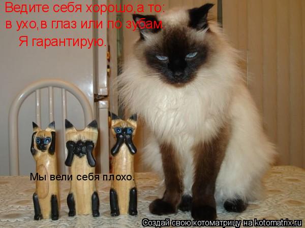 Ведите себя хорошо,а то: Мы вели себя плохо. Я гарантирую. в ухо,в глаз или по зубам.... Котоматрица: Ведите себя хорошо,а то: Мы вели себя плохо. Я гарантирую. в ухо,в глаз или по зубам.