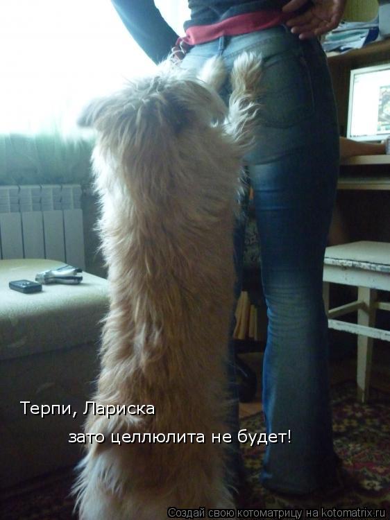 Терпи, Лариска зато целлюлита не будет!... Котоматрица: Терпи, Лариска зато целлюлита не будет!