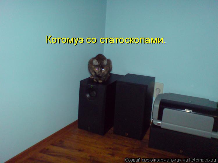 Котомуз со статоскопами.... Котоматрица: Котомуз со статоскопами.