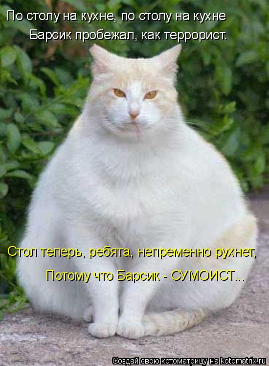 Котоматрица: По столу на кухне, по столу на кухне Стол теперь, ребята, непременно рухнет,  Потому что Барсик - СУМОИСТ... Барсик пробежал, как террорист.