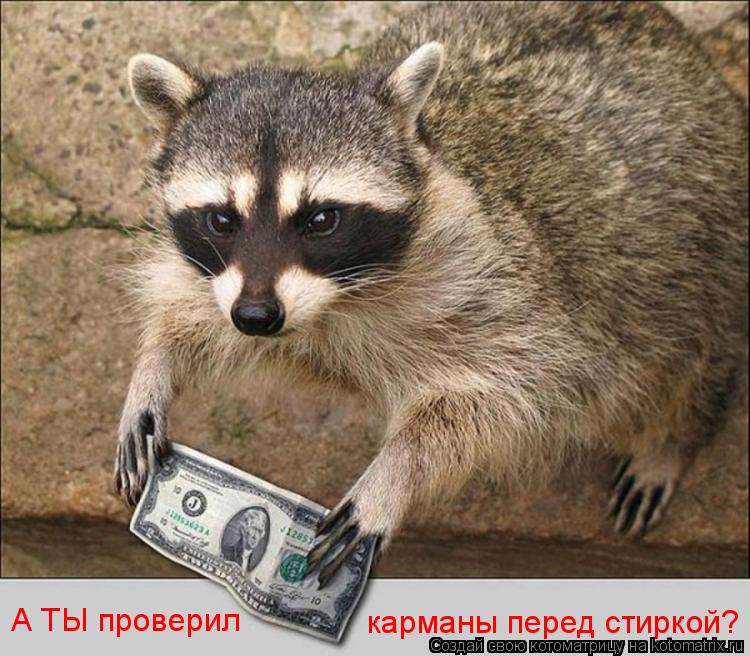 Котоматрица: А ТЫ проверил  карманы перед стиркой?