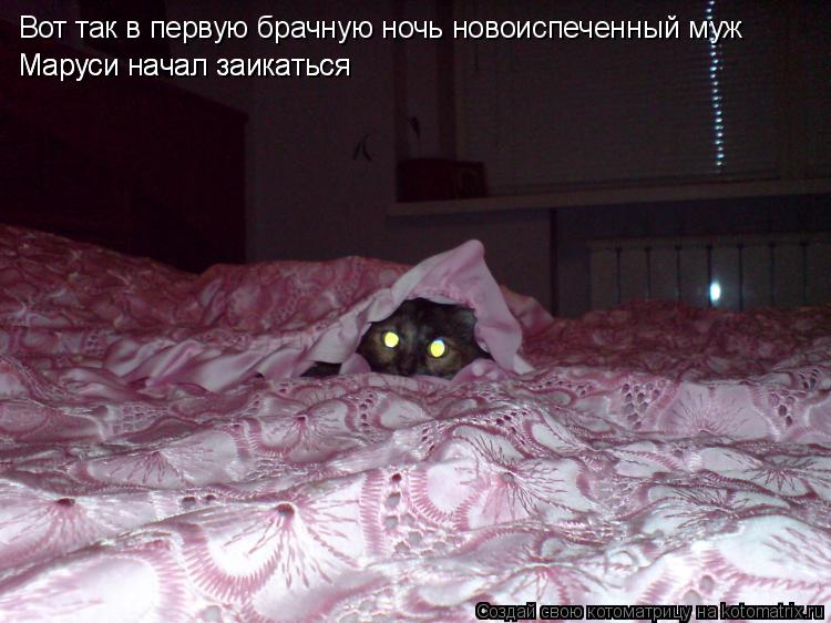 Котоматрица: Вот так в первую брачную ночь новоиспеченный муж Маруси начал заикаться Маруси начал заикаться