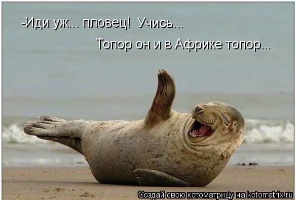 Котоматрица: -Иди уж... пловец!  Учись... Топор он и в Африке топор...