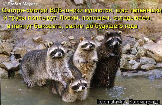 Котоматрица: Смотри-смотри ВДВ-шники купаются, щас тельняшки и трусы поплывут. Ловим, полощем, складываем, а начнут быковать, валим до будущего года
