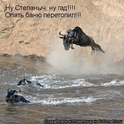 Ну Степаныч, ну гад!!!! Опять баню перетопил!!!... Котоматрица: Ну Степаныч, ну гад!!!! Опять баню перетопил!!!