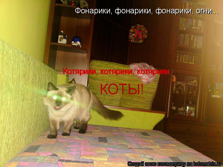 Котоматрица: Фонарики, фонарики, фонарики, огни... Котярики, котярики, котярики Котярики, котярики, котярики КОТЫ!