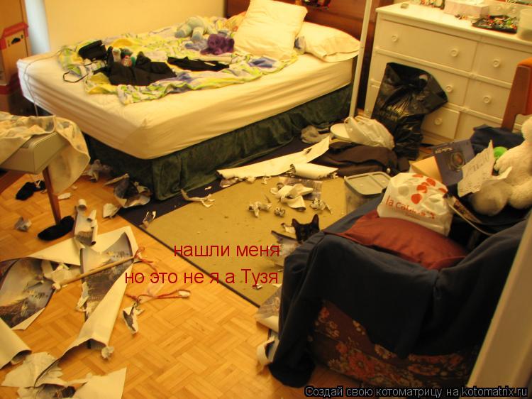 Котоматрица: нашли меня но это не я а Тузя