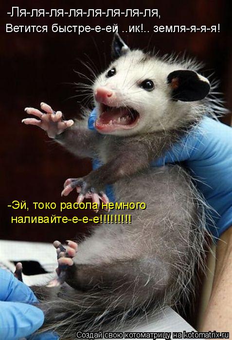 Котоматрица: -Ля-ля-ля-ля-ля-ля-ля-ля, Ветится быстре-е-ей ..ик!.. земля-я-я-я! -Эй, токо расола немного наливайте-е-е-е!!!!!!!!!