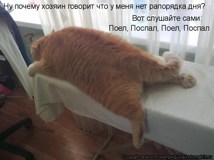 Котоматрица: Ну почему хозяин говорит что у меня нет рапорядка дня? Вот слушайте сами: Поел, Поспал, Поел, Поспал