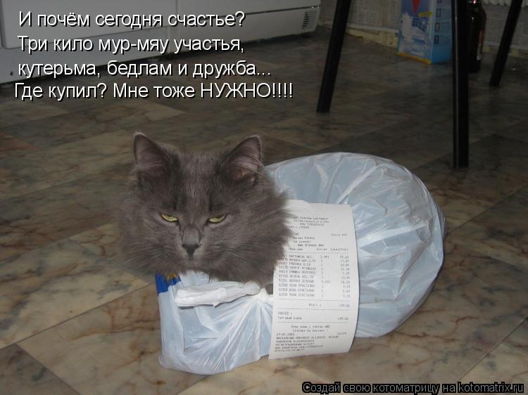 И почём сегодня счастье? Три кило мур-мяу участья, кутерьма, бедлам и дружба... Где купил? Мне тоже... Котоматрица: И почём сегодня счастье? Три кило мур-мяу участья, кутерьма, бедлам и дружба... Где купил? Мне тоже НУЖНО!!!!
