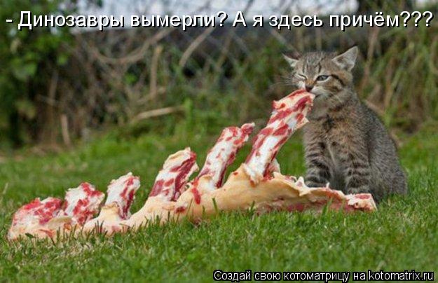 Котоматрица: - Динозавры вымерли? А я здесь причём???