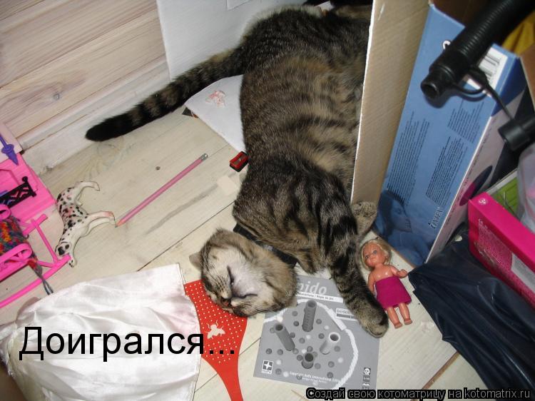 Котоматрица: Доигрался...