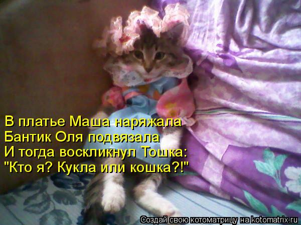 Котоматрица: В платье Маша наряжала Бантик Оля подвязала И тогда воскликнул Тошка: "Кто я? Кукла или кошка?!"