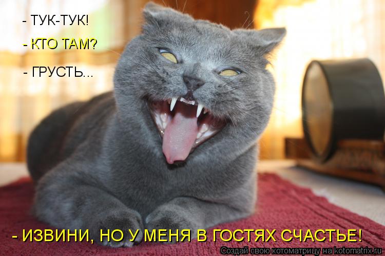 Котоматрица: - ТУК-ТУК! - КТО ТАМ? - ГРУСТЬ... - ИЗВИНИ, НО У МЕНЯ В ГОСТЯХ СЧАСТЬЕ!
