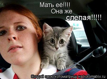 Котоматрица: Мать её!!!! Она же  слепая!!!!!